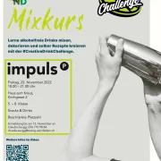 Plakat Mixkurs (Claudia Zaugg)